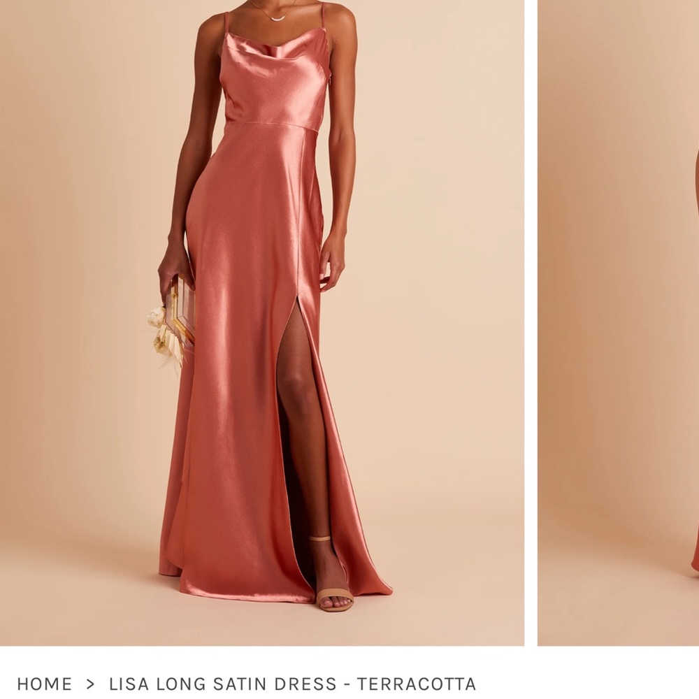 Birdy Grey Lisa Long Dress in Satin Terracotta